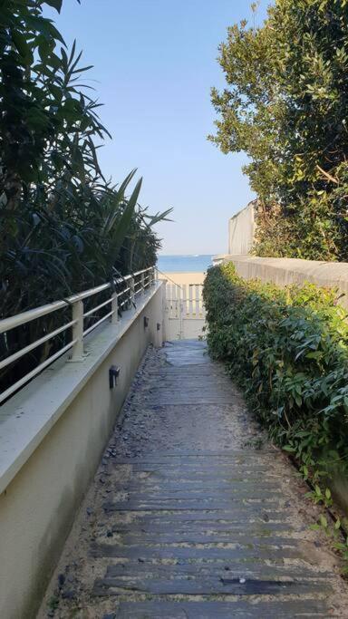 Arcareve - Grand Studio De Standing Avec Terrasse, Jardin Et Acces Direct A La Plage Arcachon Ngoại thất bức ảnh